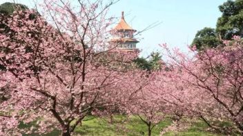 【乡村振兴】做乡村项目，如何让人“眼前一亮，耳目一新”？