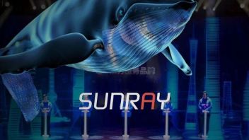 SUNRAY制造 | 冲出屏幕的大蓝鲸