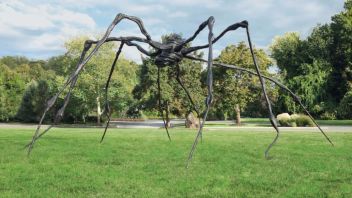 除了大蜘蛛，布尔乔亚的什么作品最值得收藏？