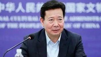 国家文物局局长建议：设立中国文化遗产大学！