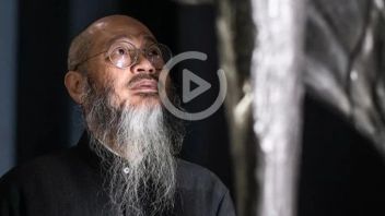 “钛坦”：一种用于心脏起搏器的材料，缘何串联起他关于宇宙的“永恒之问”？