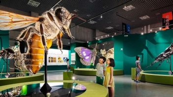 日本国立科学博物馆昆虫特展设计