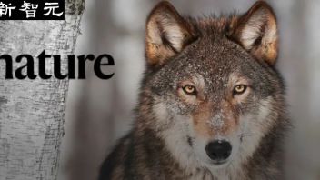 狗竟然有两个祖先？Nature<b>封面文章</b>揭秘狗的双重血统