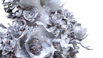 Claire Curneen/通过活根觉醒