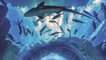 摄影 | 图上游历全世界，75个世界摄影师拍的精美风景照片
