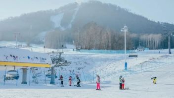 文旅融合 | “<b>刘畊宏现象</b>”对文旅行业的启示