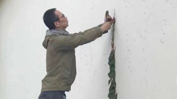 蒋志：诚实与爱