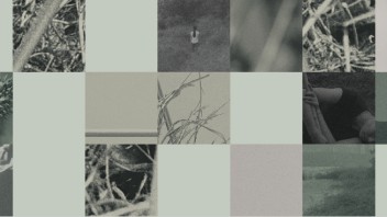 YUAN公告丨「<b>休眠景观</b>」闭展通知