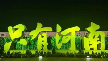 以梦为马 与光同行