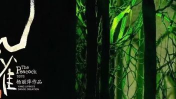 舞剧《孔雀》 <b>杨丽萍</b>对生命的终极叩问