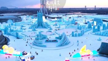关于哈尔滨冰雪大世界旅游产业发展情况<b>调研报告</b>