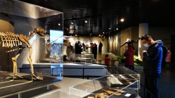 新春走基层丨 博物馆里过大年 成为新年俗