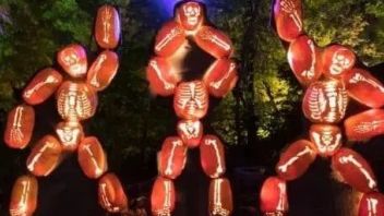The Great Jack O'Lanterns Blaze 纽约最大南瓜<b>灯展</b>
