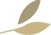 组3拷贝3.png
