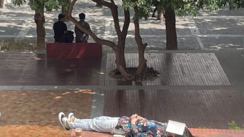 不投降：珠三角76位艺术工作者的年度计划