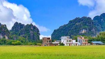 乡村振兴8个国内案例，可以借鉴！