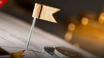 总投资81.7亿元及110亿元，京东方、维信诺两大项目<b>动态一览</b>