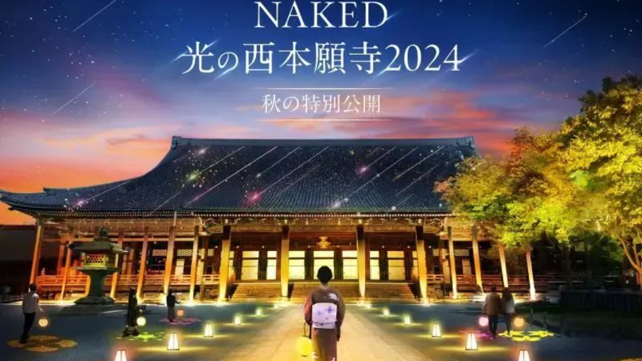大型夜间艺术活动《NAKED GARDEN ONE KYOTO 2024》